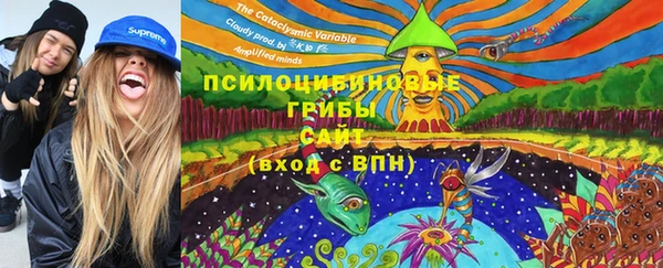 ECSTASY Иннополис